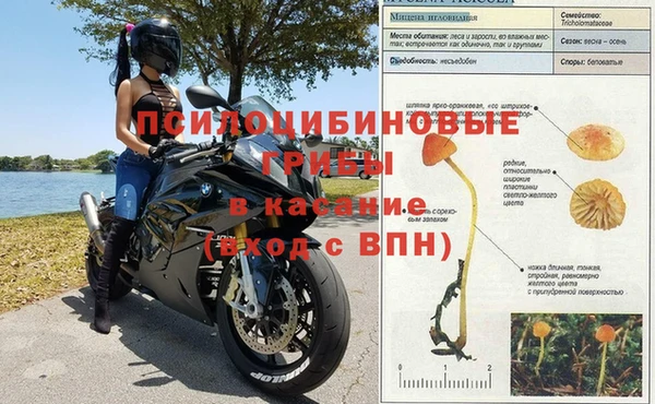 трава Арсеньев