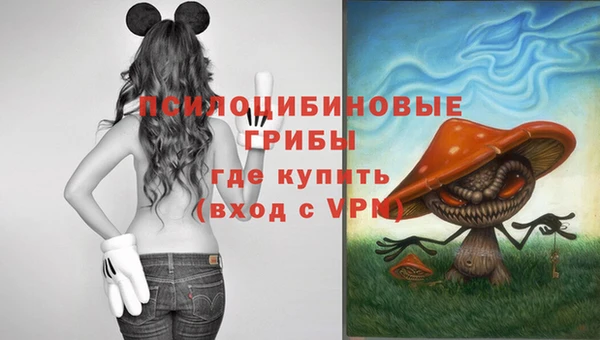 трава Арсеньев