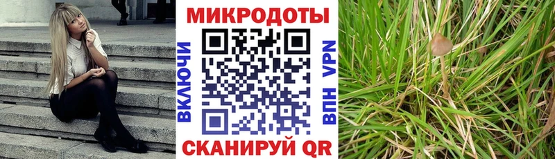 как найти наркотики  OMG сайт  Псилоцибиновые грибы ЛСД  Бологое 